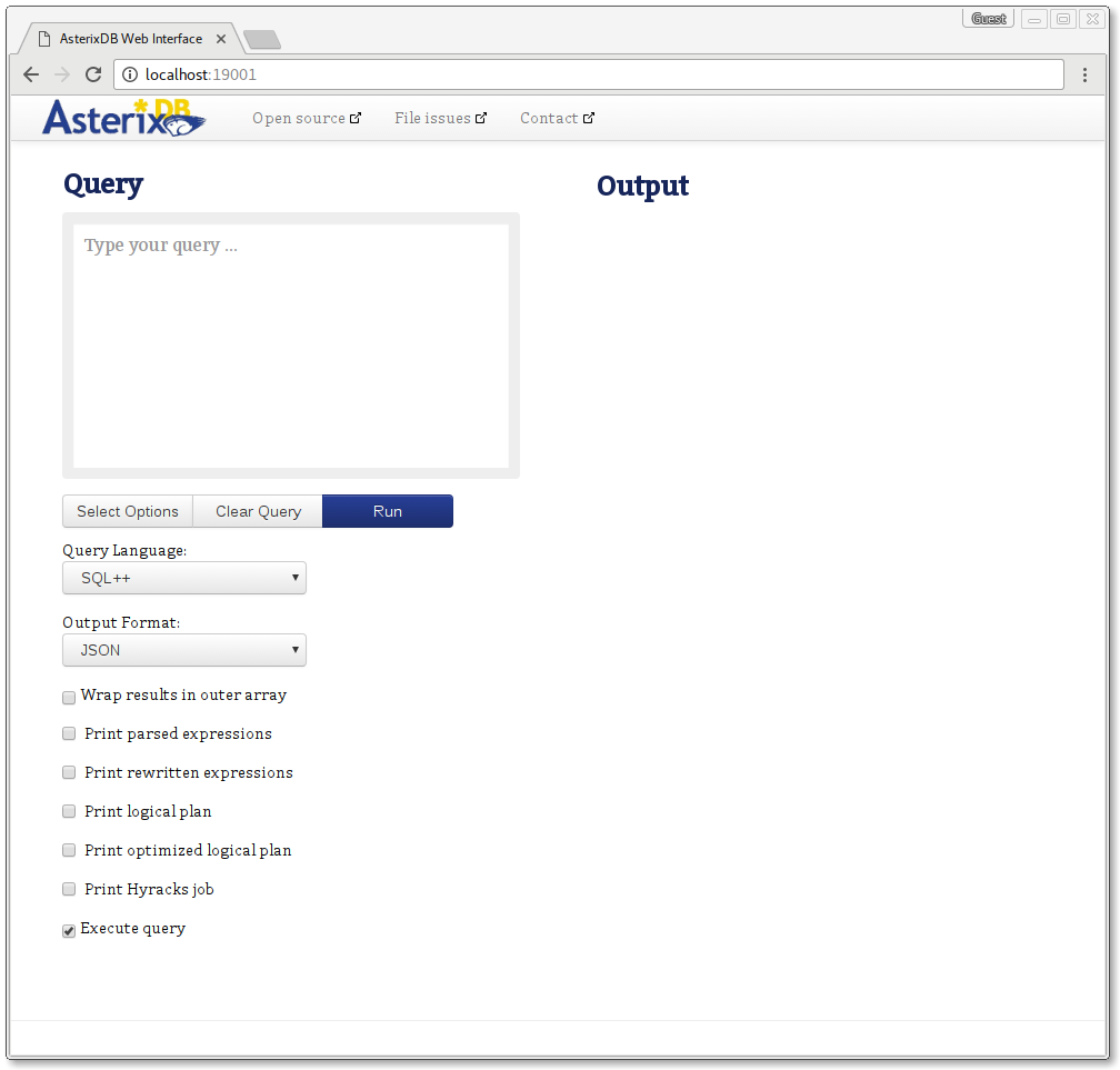 The AsterixDB Web Interface